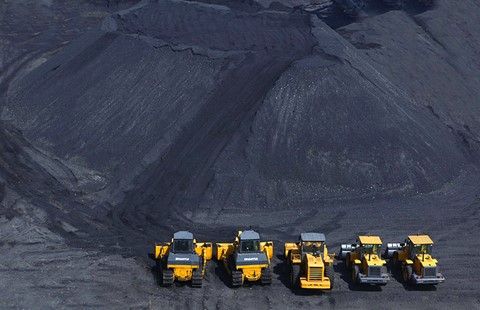 元素家族全放送,元素家族在线观看