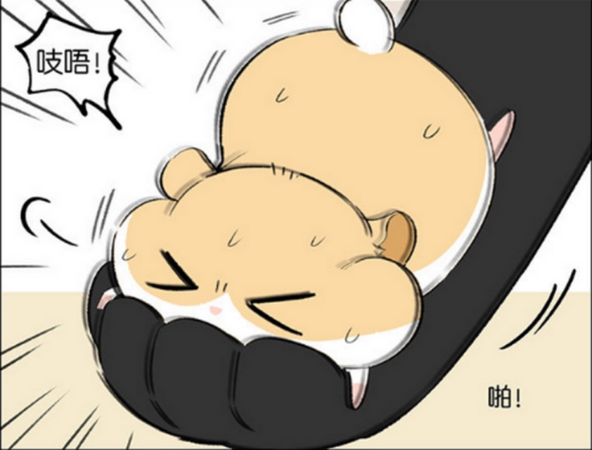 仓鼠的跑步速度有多快,小仓鼠跑步有多快