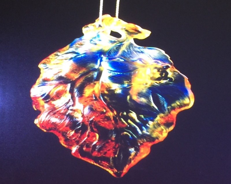 数千万年前琥珀是怎么成形的,琥珀完美封存的古老记忆