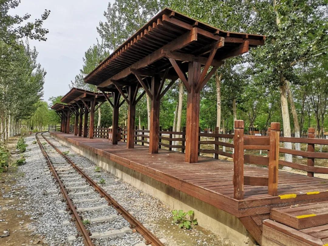 一个不出郑州的踏青好去处,天津春游公园推荐