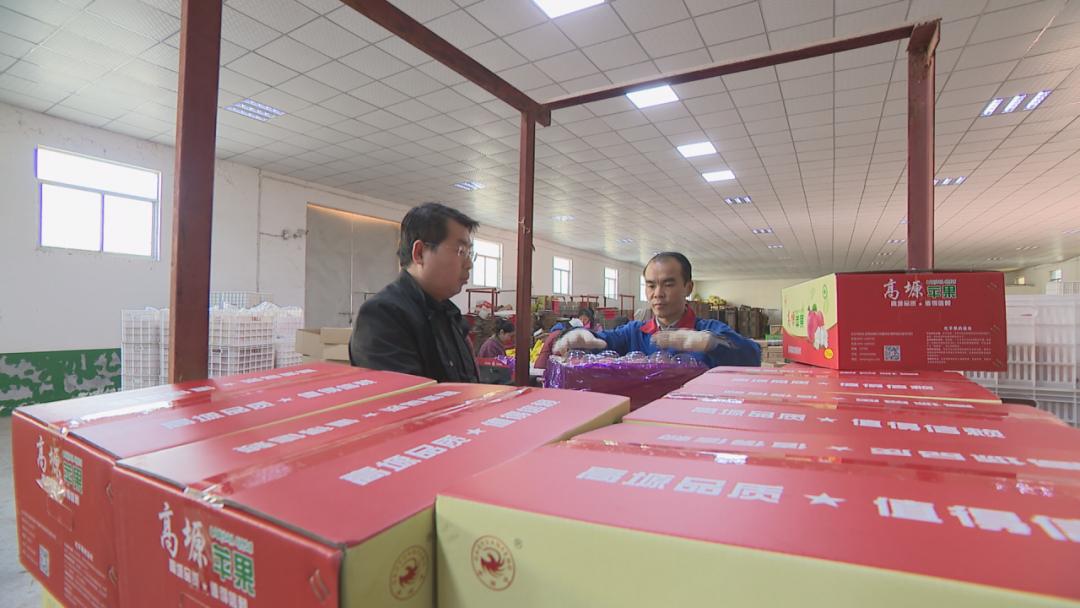 「脱贫路上的奋斗故事」刘锋：讲诚信善经营小苹果做出大产业