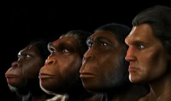 生命的起源是什么？人类的祖先是啥？可以用《易经》解释吗？