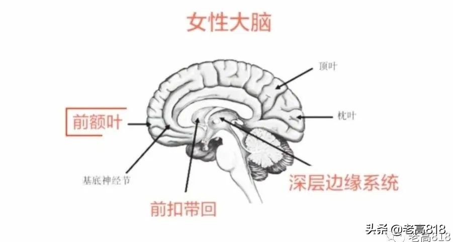直播套路精髓汇总,直播都有哪些玩法套路
