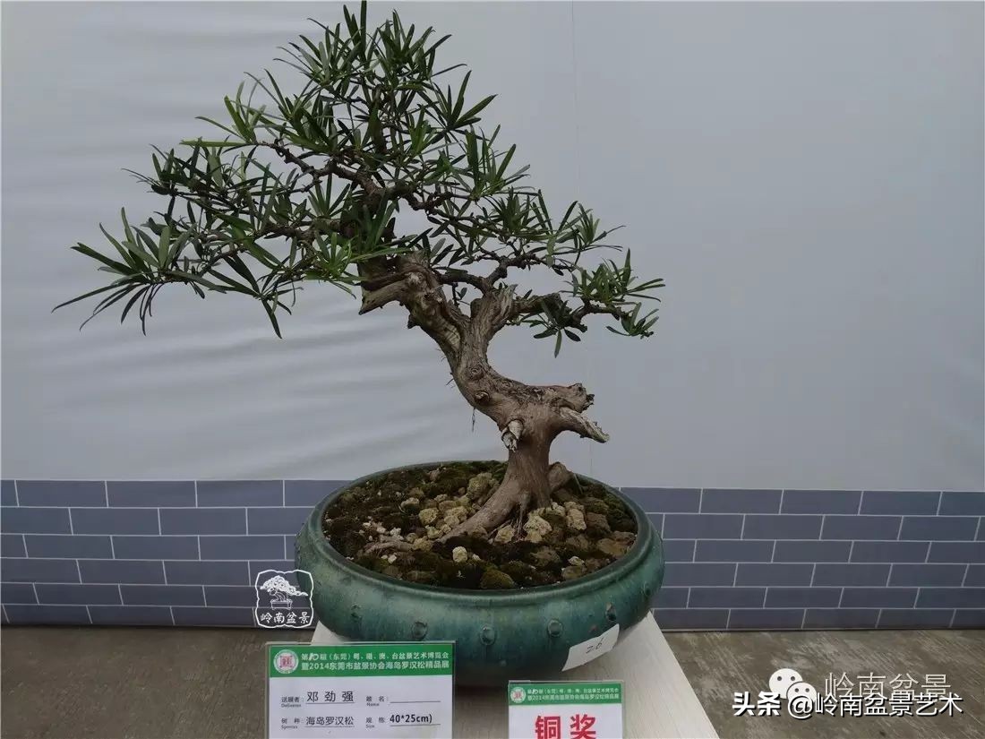 开运招财，非其莫属！清风雅韵，当之无愧！