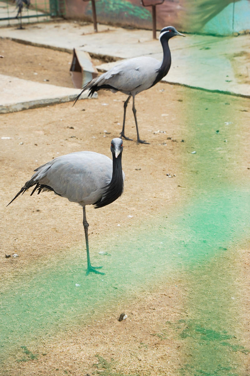 山东周边游2天1夜小众,5.1山东五日游