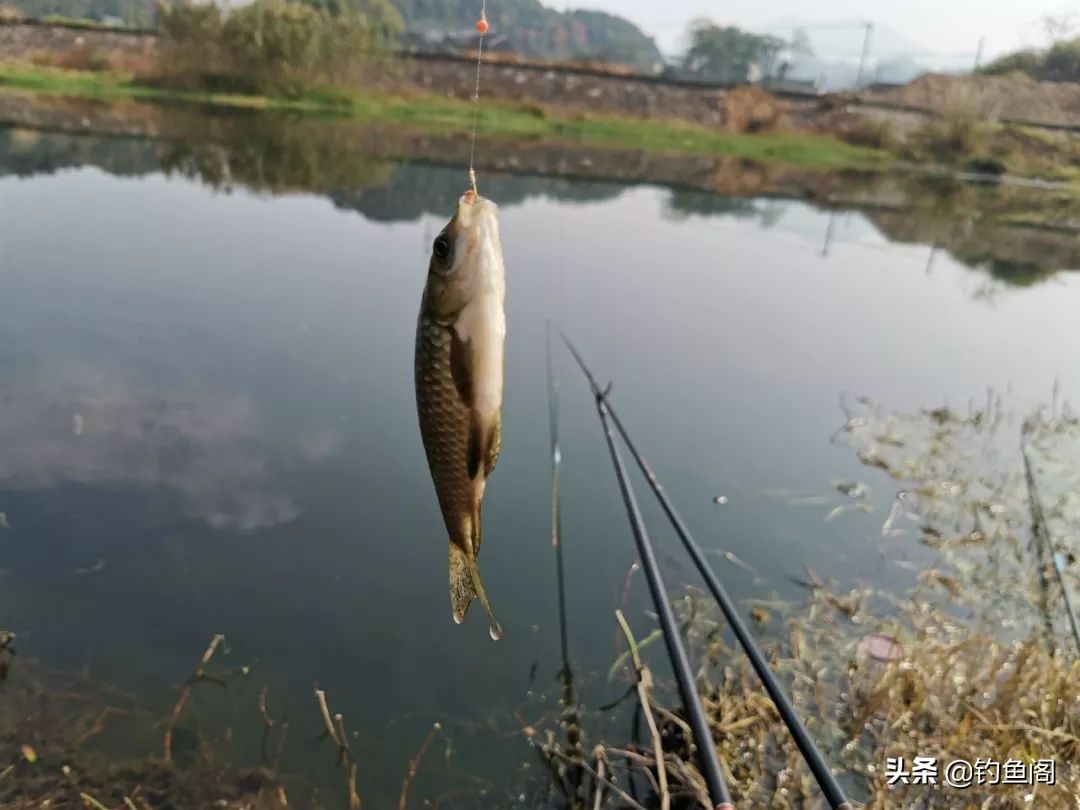 冬季钓鱼夜钓什么时间最好,初春夜钓钓鱼的最佳时间表