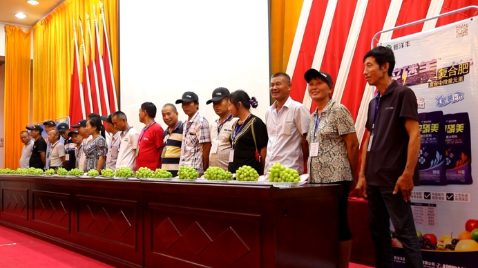 新洋丰农业项目,新洋丰绿色