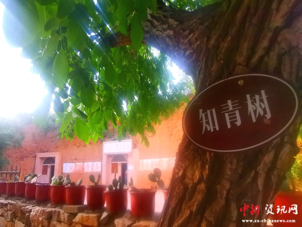 河南禹州：打造多元化旅游景区融合乡村旅游化发展