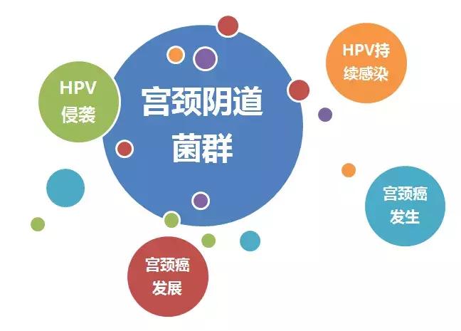 感染hpv的人都有艾滋么,感染hpv的人