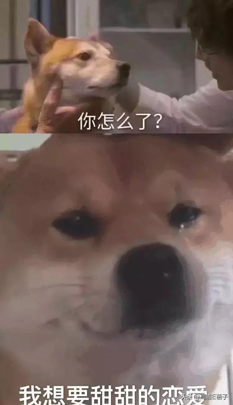 这部没有刻意加滤镜的《独家记忆》，它让你的青春有共鸣吗？