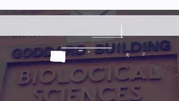 cash有啥用,money是个好东西