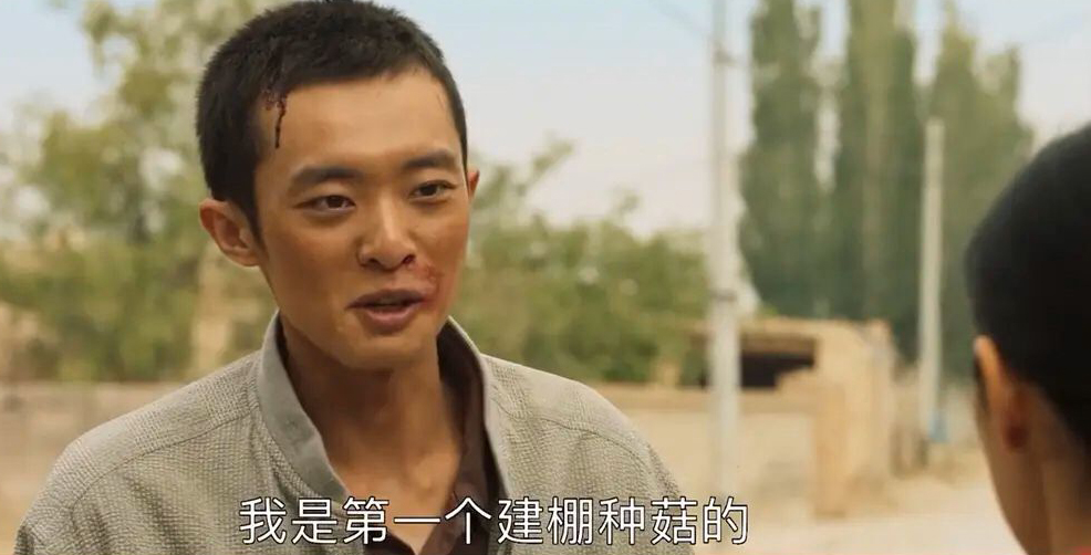 山海情结束后的感受,山海情追剧