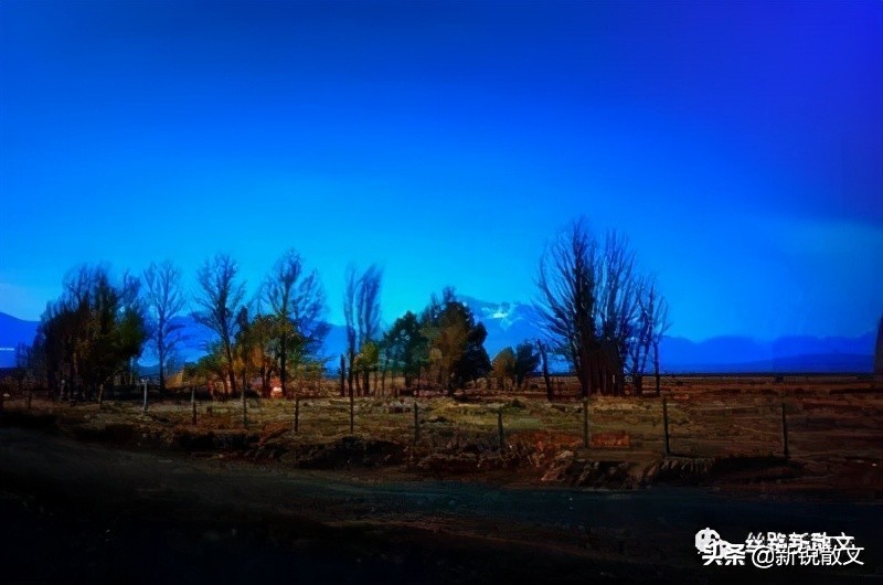 那天中午,踏踏实实做了一回闲人,把这些年欠下的阳光全找回来了