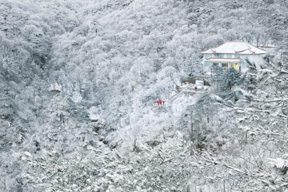 峰花雪月个人抖音,风花雪月