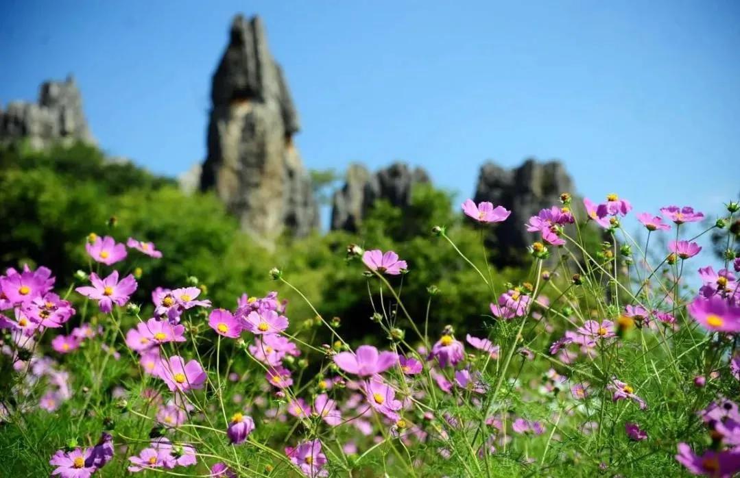 来看看那些云南元素满满的影视剧,这些让人难以忘怀的镜头