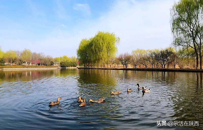 西安旅游攻略门票优惠政策最新,西安门票免费景点攻略最新