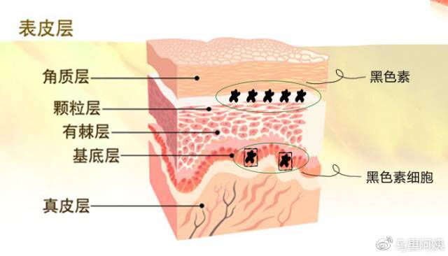美白针真能一针就白吗,美白针害人不浅