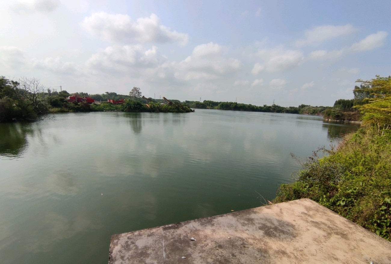 广东湛江大鱼,湛江水库钓大鱼