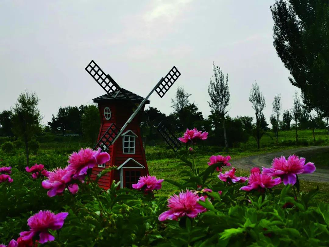 乡村精品游线路推荐,极品旅游景点推荐