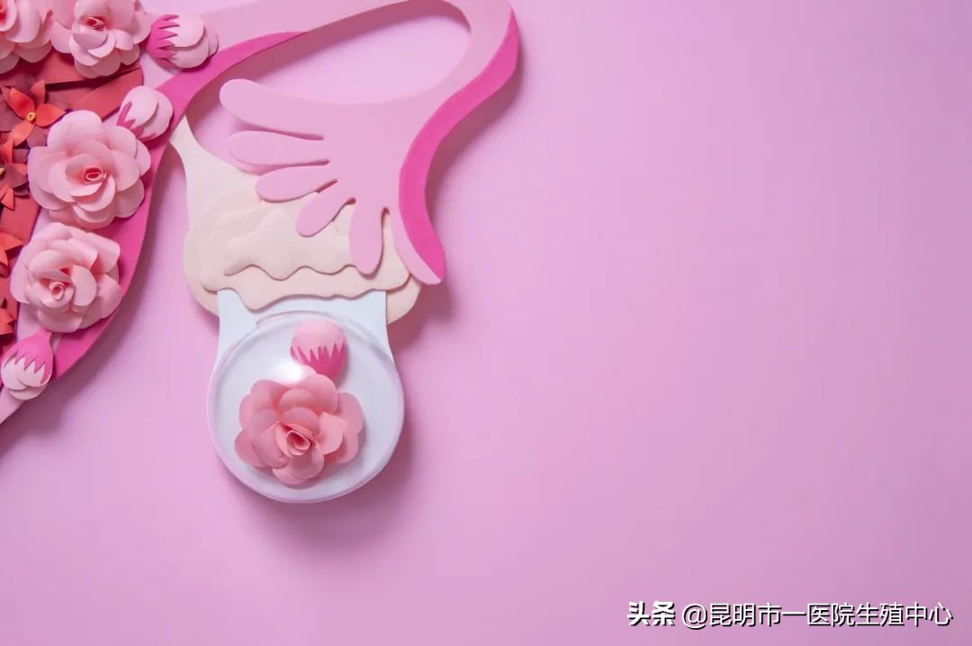 「好孕指南」备孕怀不上？你的问题出在了这里