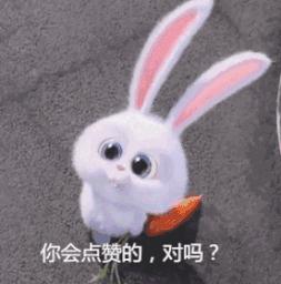 过来人揭秘婚姻的真相,揭秘婚姻的真实经历