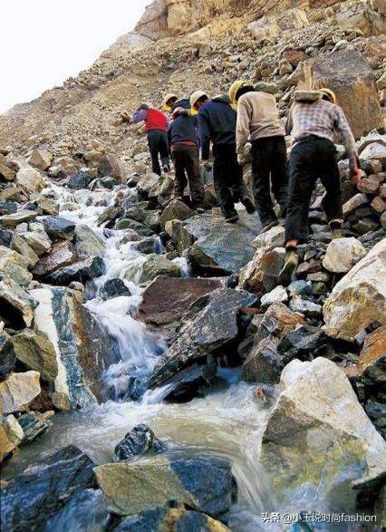 金星买翡翠手镯被坑,花15000买假金手镯