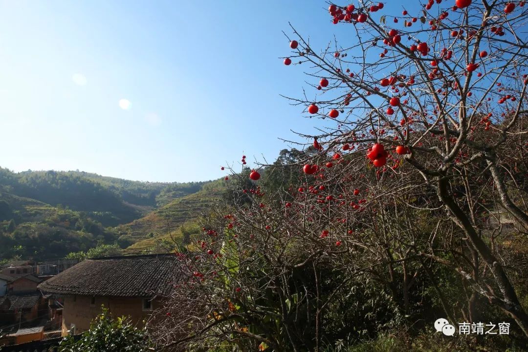 漳州南靖：有一种美，叫秋天的南靖