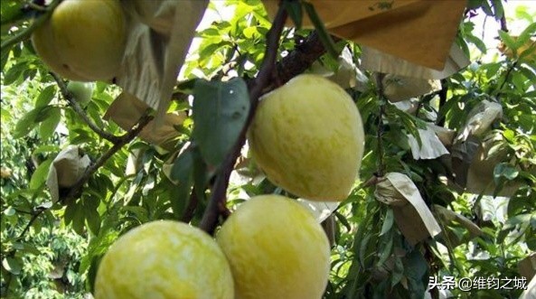 株洲十大美食店,株洲美食推荐必吃前十名