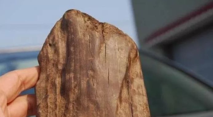 文玩界的秘密介绍,文玩秘密100个