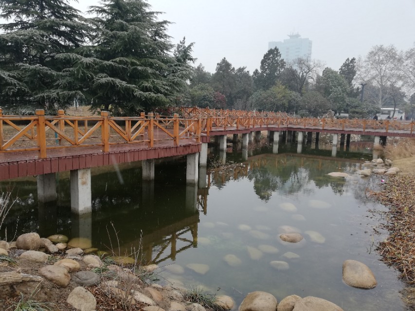 创业者有一天倒闭了怎么办,刚开始创业迷茫期如何度过