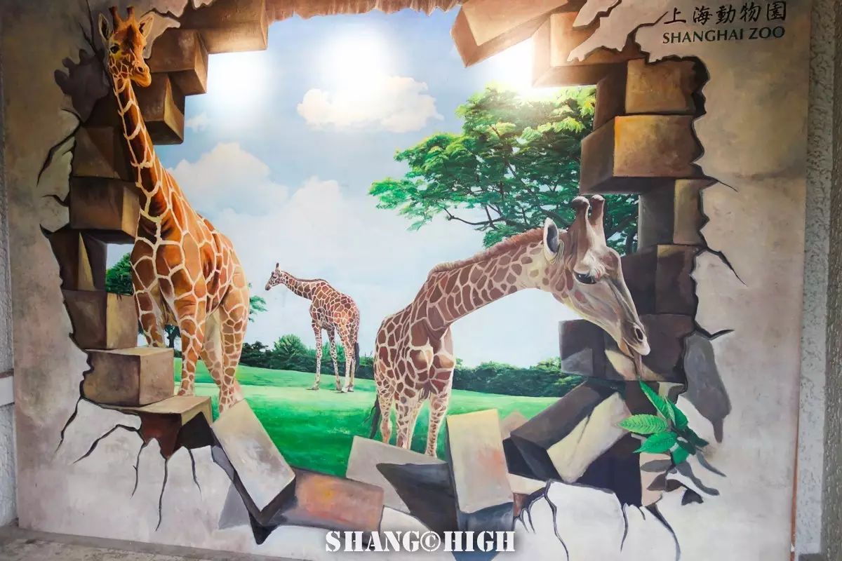 记者探访广州动物园,动物园观察动物