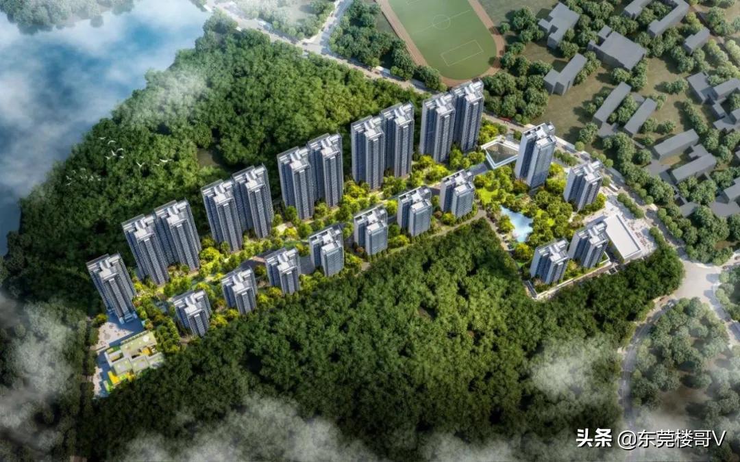 妤煎摜韪╃洏,妤煎摜韪╃洏淇濆埄澶╃考骞垮満