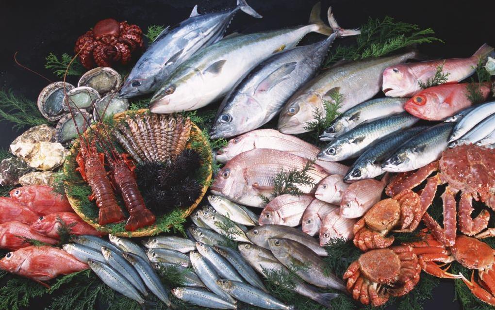 夏季好吃的海鲜菜品推荐,大写字母的食物