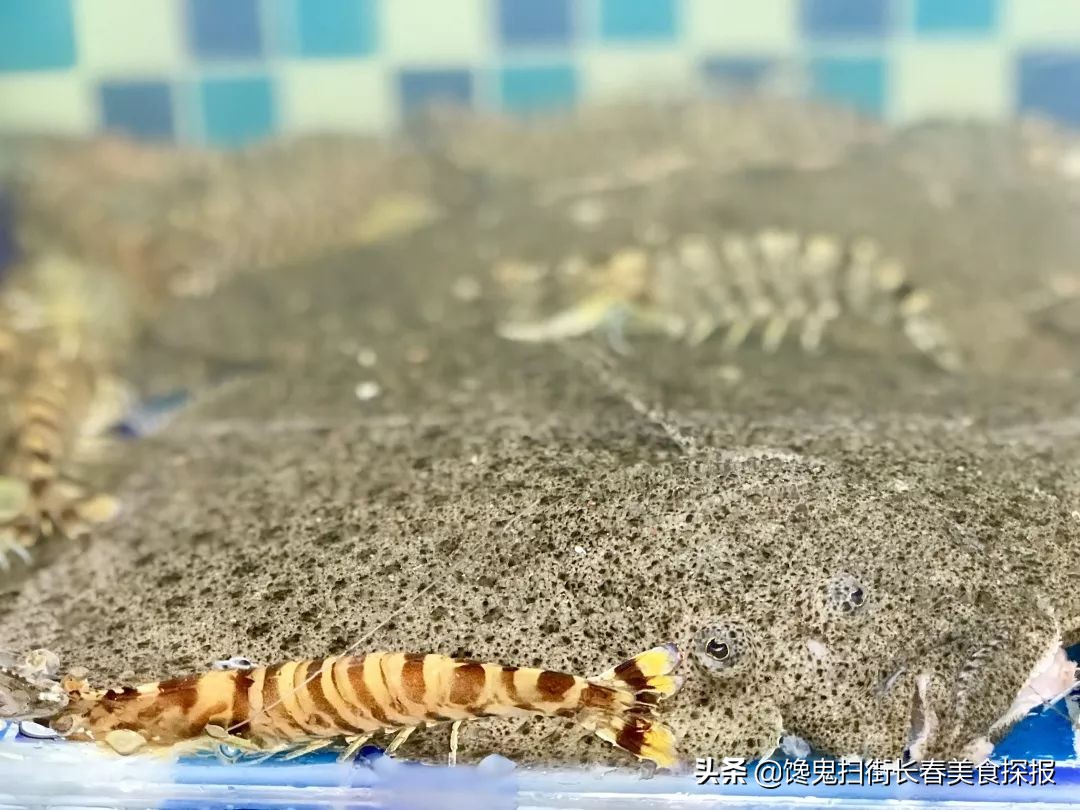 长春居然之家火锅,长春有个火锅很出名叫什么