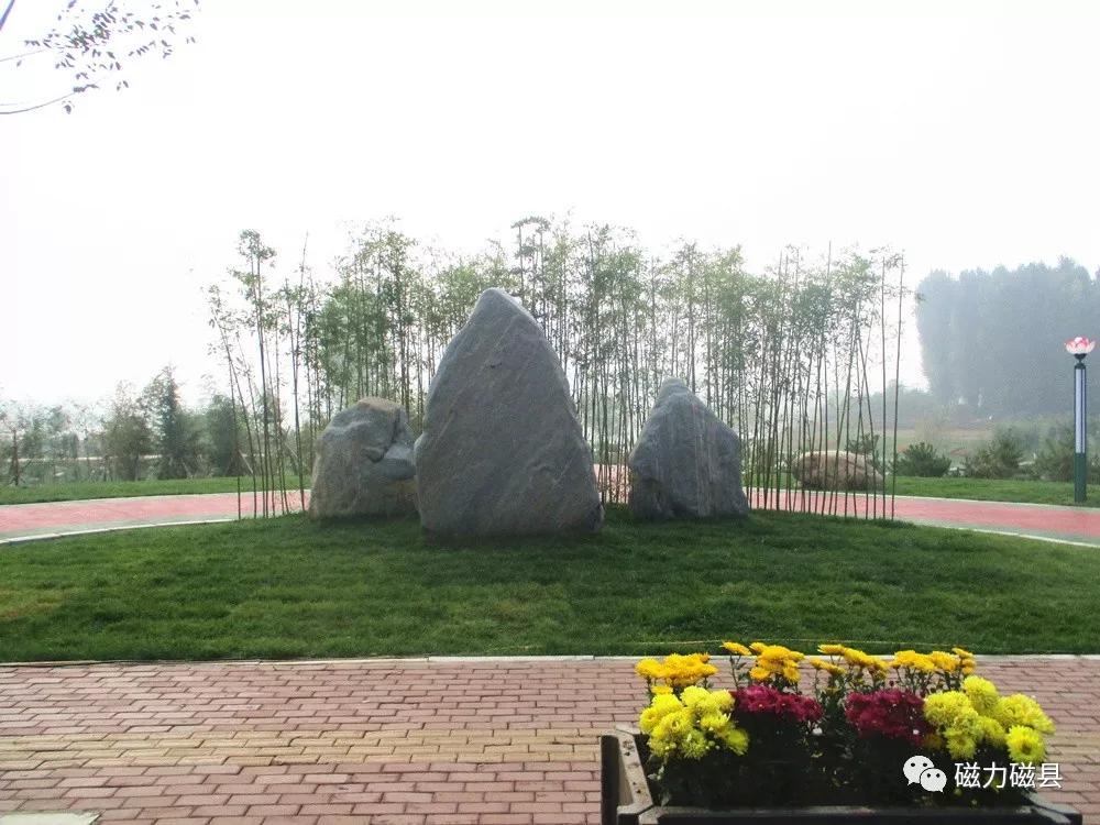 磁县如意湖生态湿地公园,磁县如意湖湿地公园有什么好玩