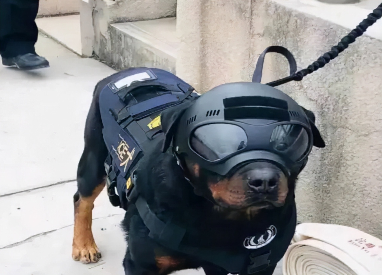 社恐遇到了社交牛逼症,社交牛逼症如何消除