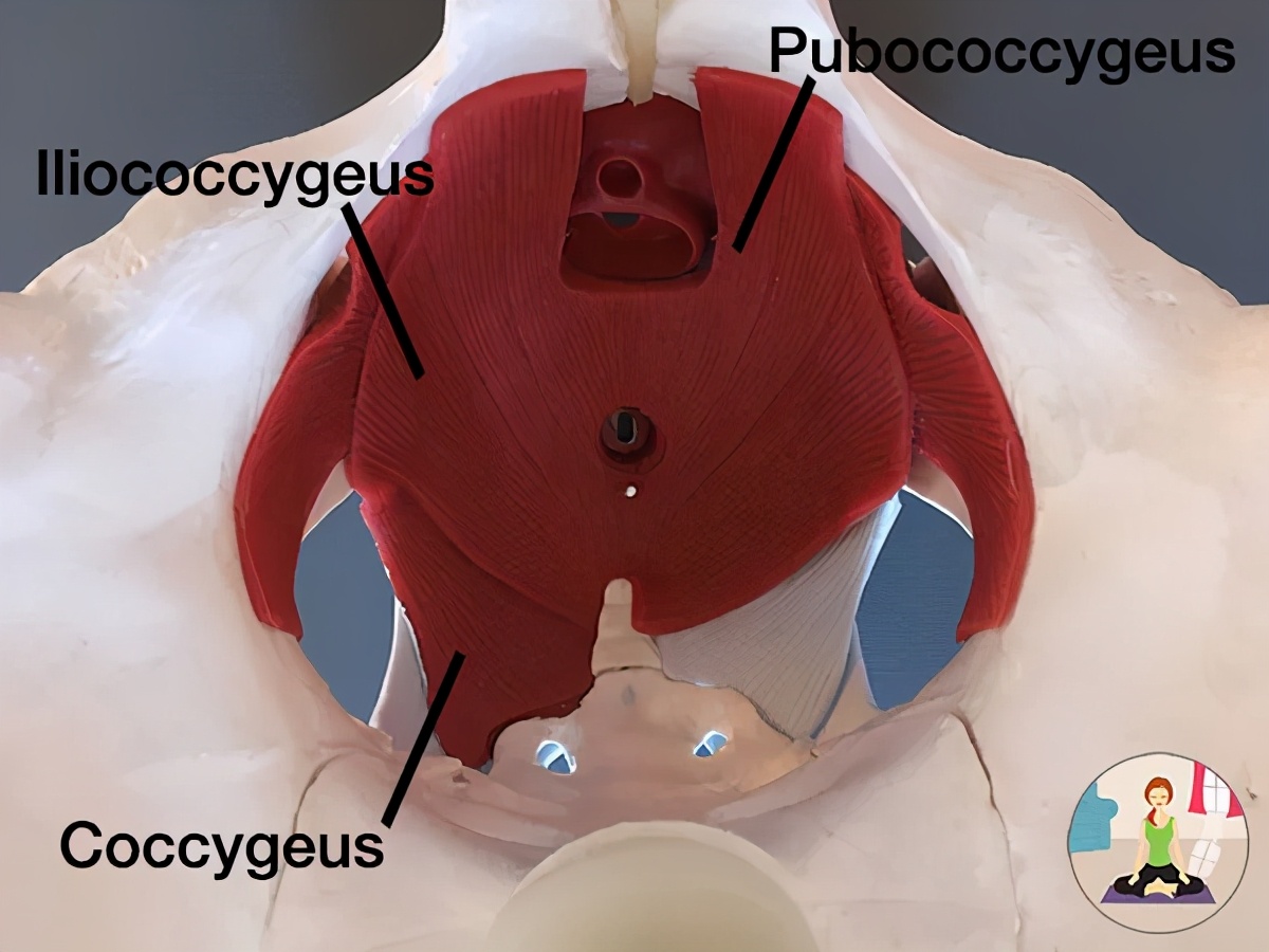 张雨绮怎么瘦成吴谨言了,张雨绮瘦的时候