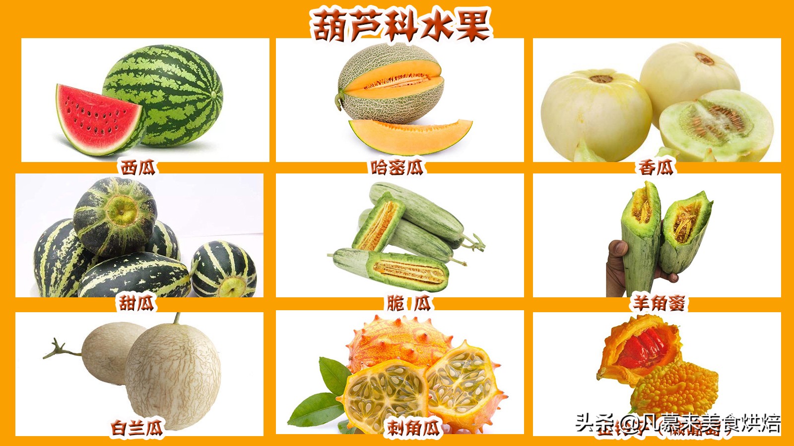 水果百科知识大全水果种类,水果种类大全水果如何分类