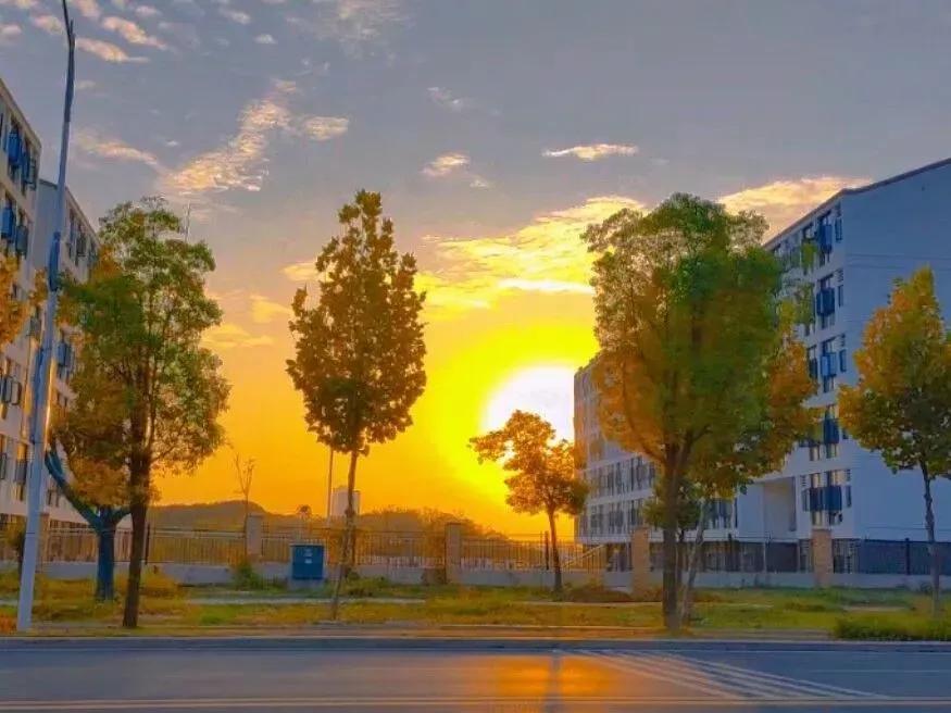 安徽省合肥师范学院2024招生简章,安徽省合肥师范学院今年投档线