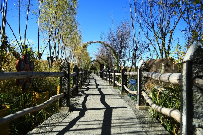 丽江打卡的九个地方,丽江拉市海网红打卡攻略