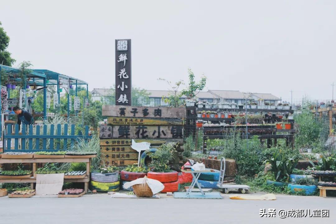双流空港体育公园看飞机攻略,周末去空港花田