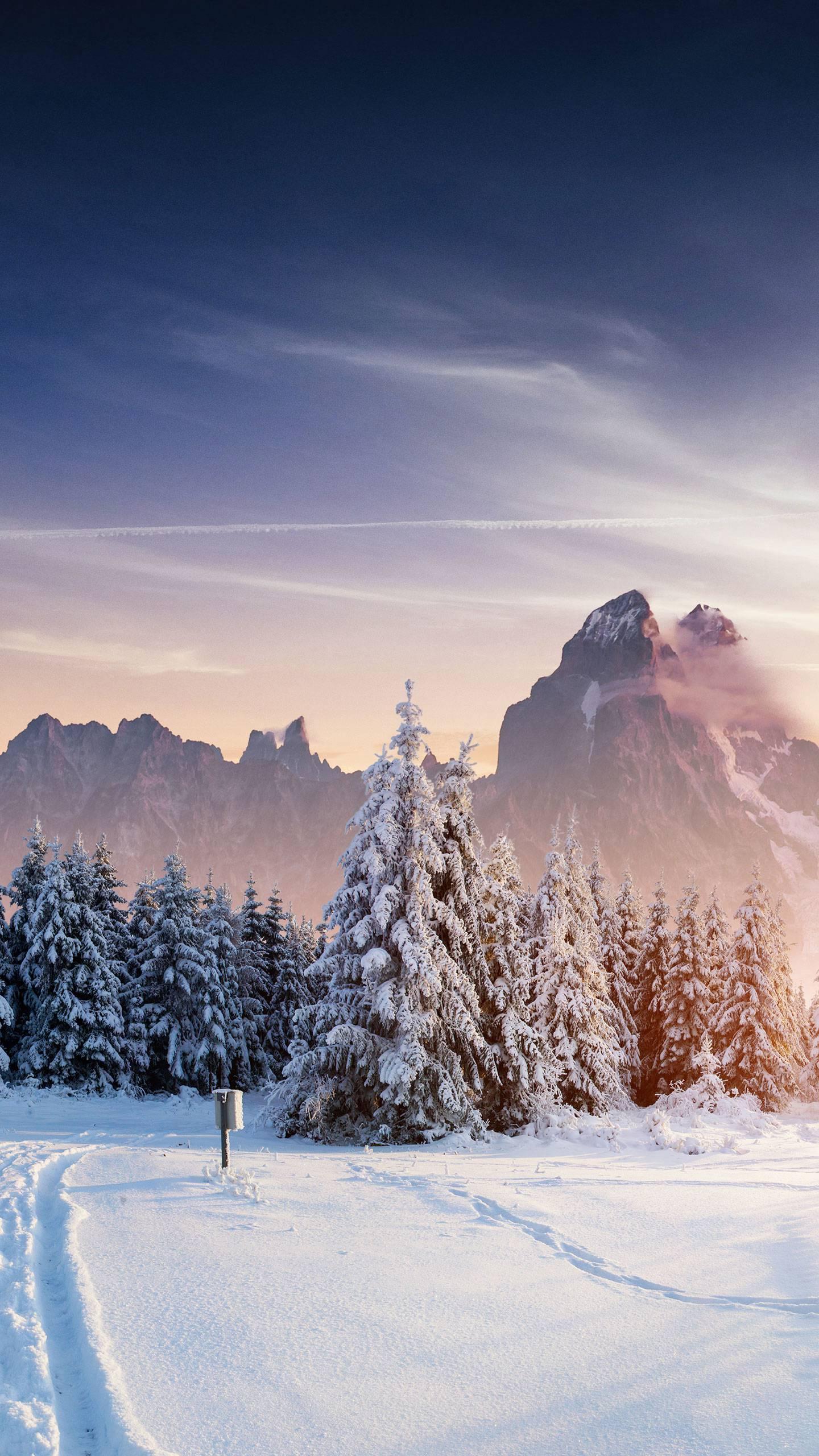 寒风彻骨刘亮程,刘亮程《寒风吹彻》在线阅读