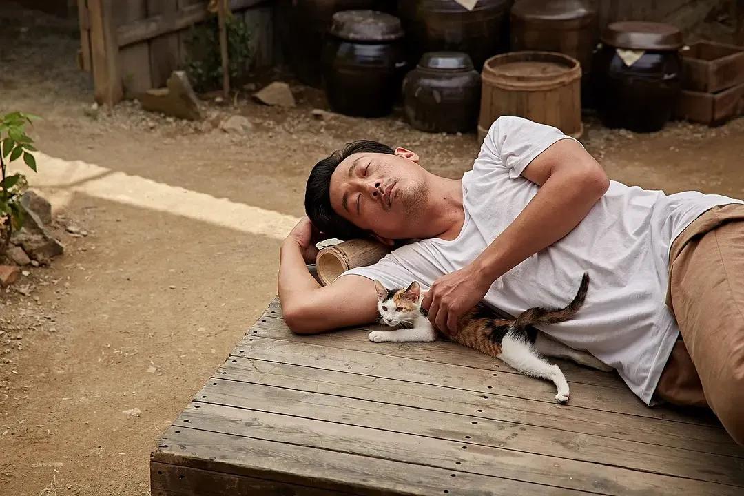 许三观卖血记爱情观,男人看许三观卖血记