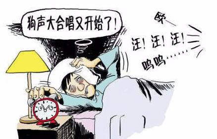 江北区养大型犬,江北宠物基地