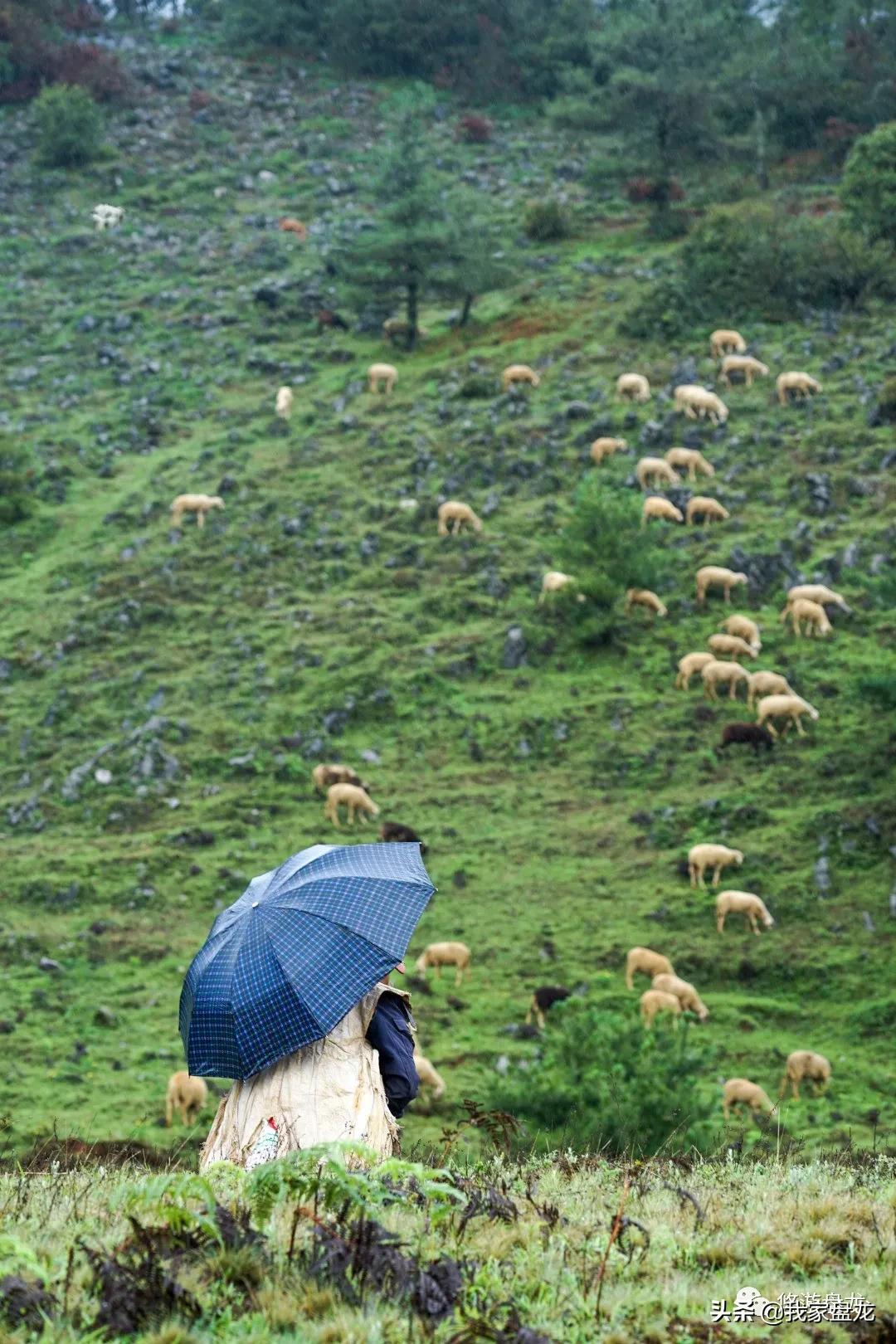 100张照片一百种幸福,100张图片带你去云南