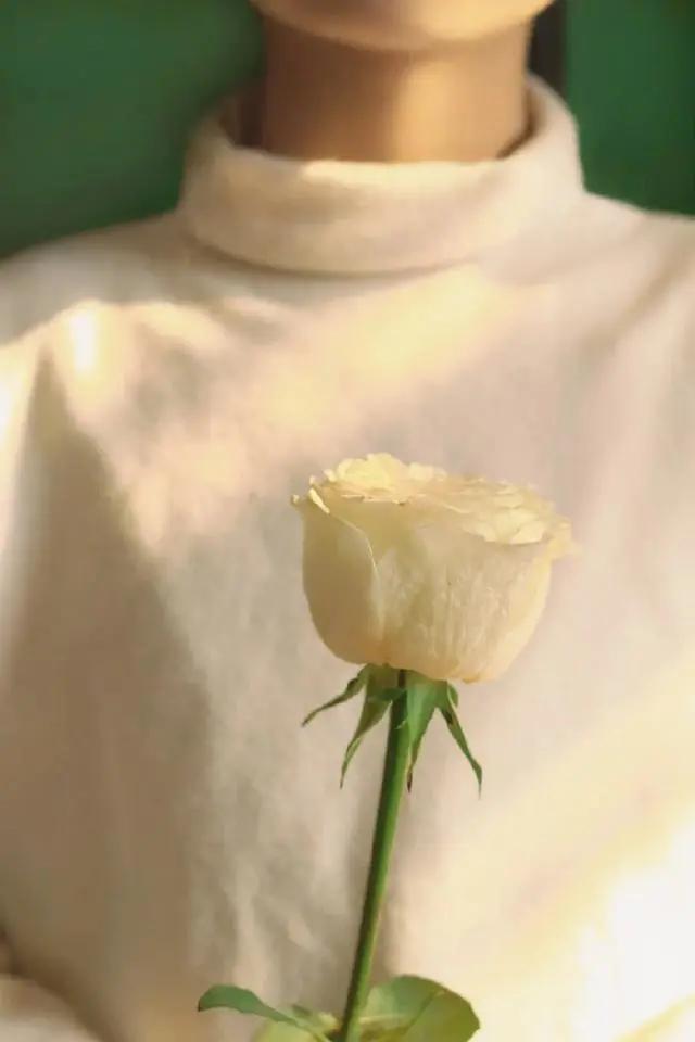 9平米花店,有4间铺面开花店怎样设计