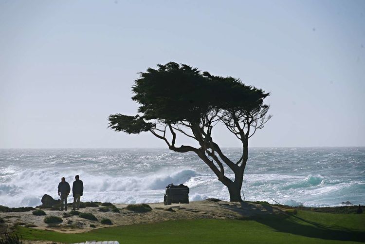 美国德州西部自由行,美国西海岸可以自由航行么