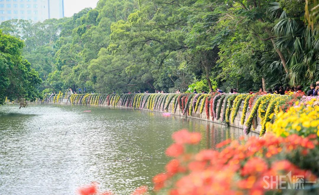 罗湖发达吗,罗湖区的实力到底有多强