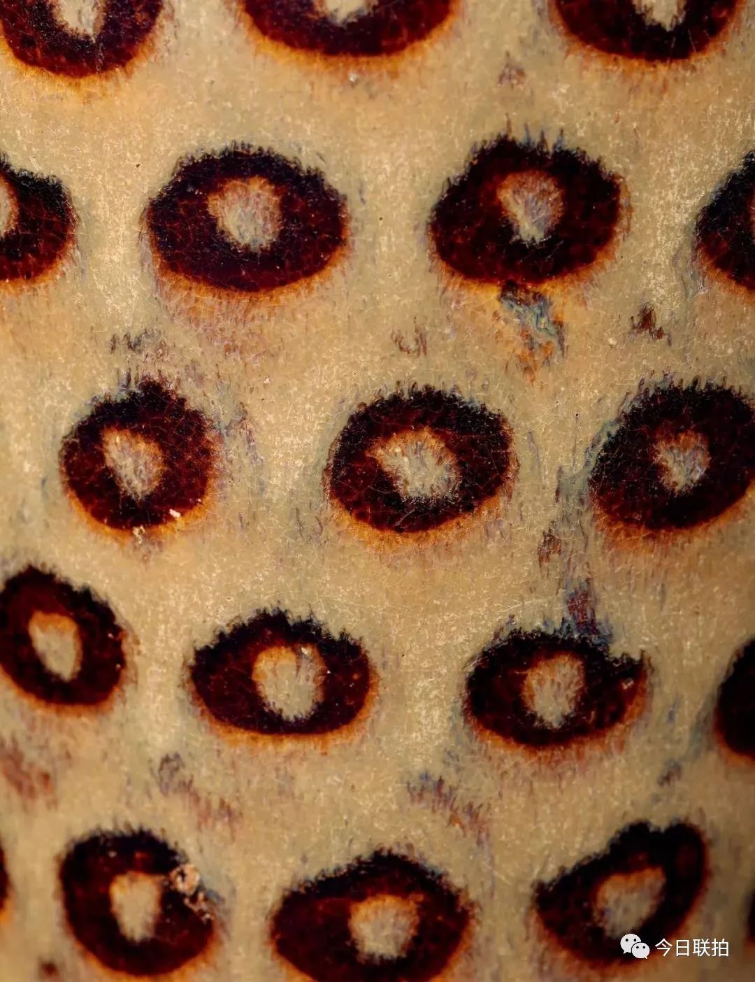 宋代关公铜像价格,关公陶瓷佛像19寸