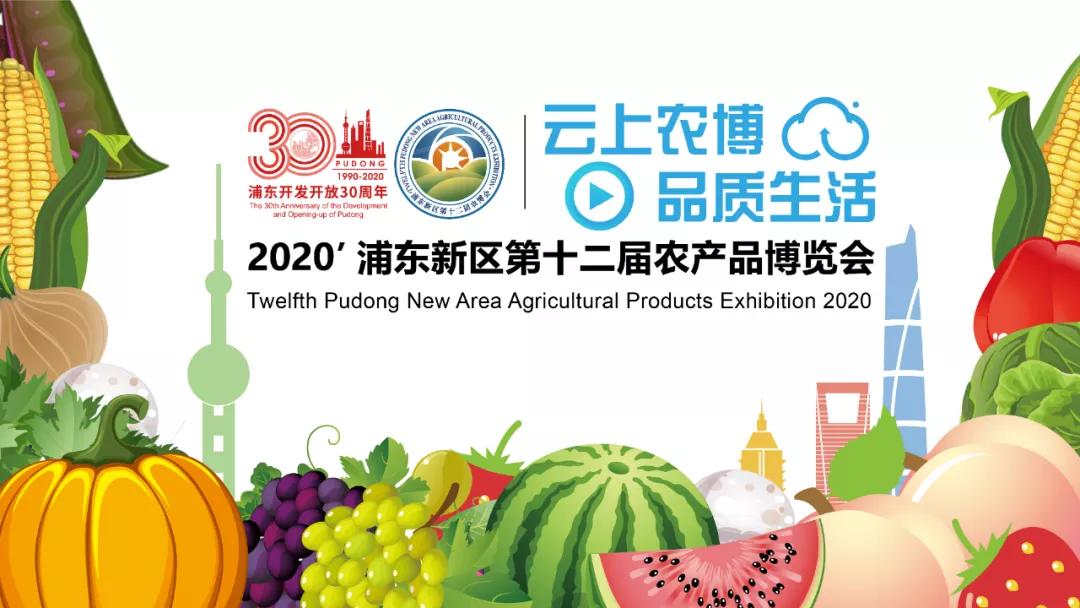 上海浦东新区川沙镇镇长,上海浦东新区川沙新镇党委书记